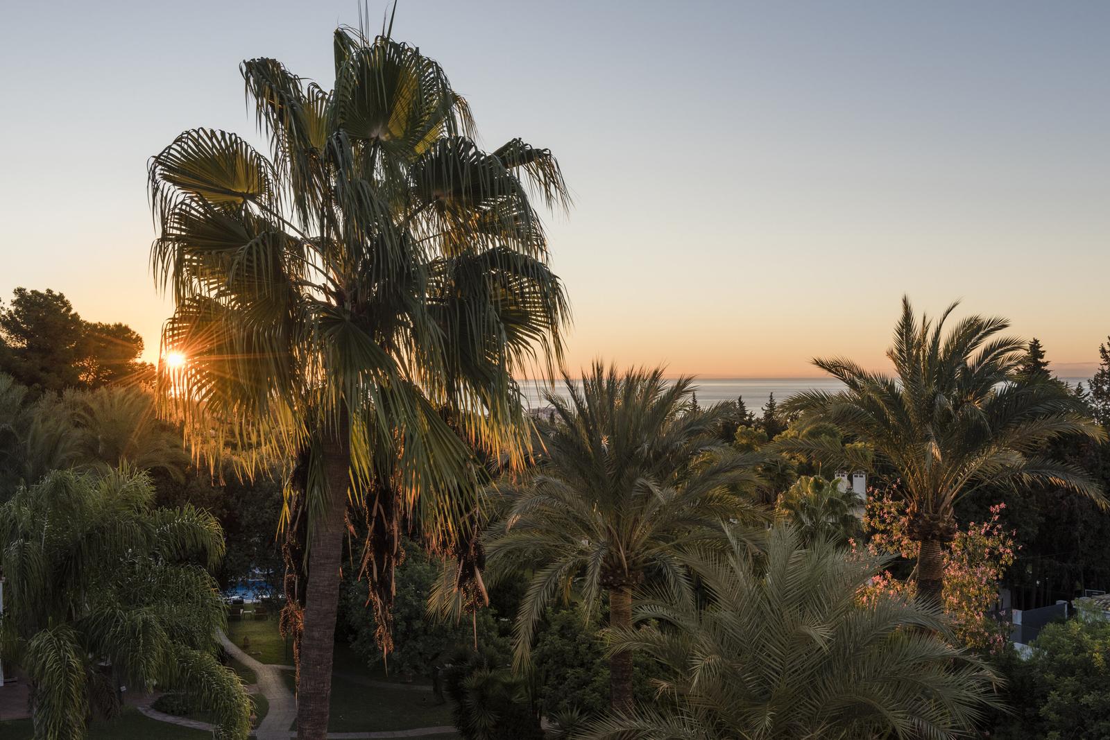 Buchinger Wilhelmi Marbella — photography